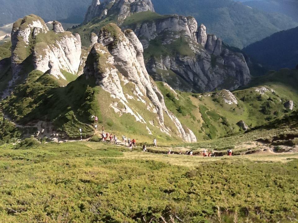 Vila Bratocea Cheia  Esterno foto